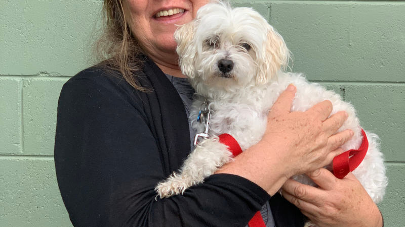 Story Dogs Tricia and Dude sponsored by Lions Club of Canberra Valley